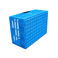 Caisses de stockage pliables panier en plastique avec fonction pliable ventilée Style de boîte solide pour le transport de fruits légumes oeufs