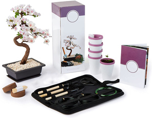 Bonsai Pot Unique 5 Bonsaï <span class=keywords><strong>Jardinage</strong></span> Cadeaux ensemble d'outils Ensemble d'espèces Bonsai Starter <span class=keywords><strong>Kit</strong></span> avec <span class=keywords><strong>Kit</strong></span> de <span class=keywords><strong>jardinage</strong></span> - Product Image 1