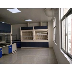 <span class=keywords><strong>Campana</strong></span> de Extracción de Humos de Acero con Certificación CE <span class=keywords><strong>para</strong></span> Laboratorio de PCR, Extractor Químico sin Ductos, Diseño Estacionario, Extracción Ajustable - Product Image 5