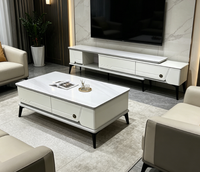 Ensemble de meuble TV et table basse de luxe pour salon, design moderne et minimaliste, idéal pour petit appartement