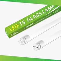 Lámpara LED T8 con Sensor de Radar, Tubo de Vidrio, 12W, 1200mm, 6000K, Sensor de Movimiento por Microondas, Reemplazo de Lámpara Fluorescente para Oficina y Garaje