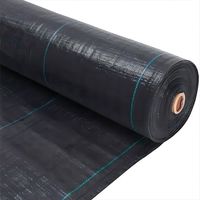 2025 nouveau tissu rouleaux contrôle des mauvaises herbes Agriculture contrôle des mauvaises herbes tissu polypropylène ferme tapis de mauvaises herbes