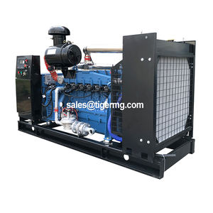 20KW 30KW 50KW 100KW 150KW 200KW 300KW 400KW 500KW Gas naturale Biogas CNG metano generatore CHP Biogas purificazione - Product Image 4