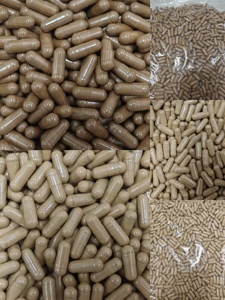 OEM/ODM penjualan populer Cina Tradisional ramuan <span class=keywords><strong>Angelica</strong></span> Sinensis ekstrak Dong Quai ekstrak akar bubuk Dong Quai kapsul - Product Image 4