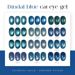 Étanche 12 couleurs dégradé bleu Cat's Eye Series 15ml Nail Gel Exportation transfrontalière pour salon de manucure - Product Image 2
