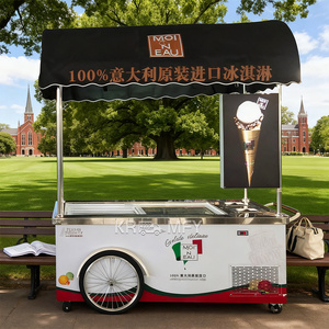 Condition New Electric Bike Hot Dog Cooking Platform Concession <b>Small</b> Kitchen Fiberglass Wheels Snack Fast Food Ice Cream - Product Image 5