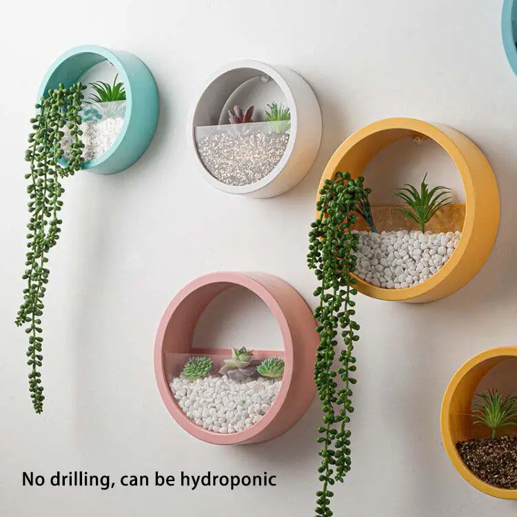 Home Living Room Wall Decoration Creative Wall Hanging Round Green Radish Hydroponic Plant Plastic Flower Pot
