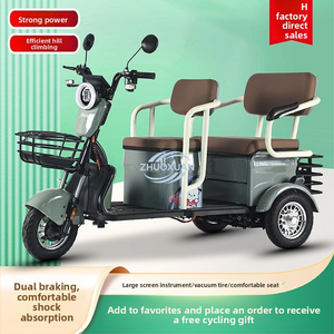 Véhicule électrique robuste à trois roues pour les déplacements et le transport domestiques - Product Image 4