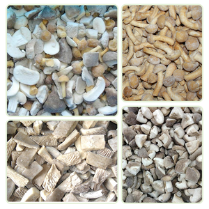 Cina di alta qualità <span class=keywords><strong>IQF</strong></span> fette intere congelate cubetti di ostriche Boletus Edulis funghi congelati funghi misti - Product Image 4