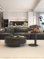 Table basse en pierre, style moderne, luxe léger, salon, maison, petit appartement, espace de rangement, pas d'assemblage requis, noir