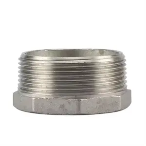 Stainless Steel Hex Nut Pipe Inner Outer Wire Nuts Head Thread Bushing With Cheap Price