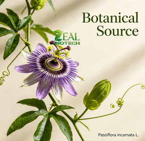 Extrait <span class=keywords><strong>de</strong></span> <span class=keywords><strong>Passiflore</strong></span> en Poudre Passiflora Incarnata Flavonoïdes Totaux Soutien au Sommeil Apaisant Complément Alimentaire OEM - Product Image 2