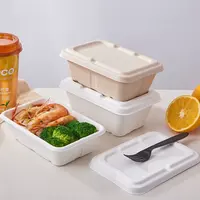 Biodegradable Pulp Paper Food Container Disposable Food Container Pape –  Fastfoodpak