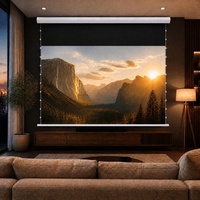 Écran de projection motorisé SHENGMU DD-01 100" 16:9 ALR CLR anti-lumière, adapté aux téléviseurs laser à ultra courte focale, cinéma maison