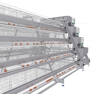Système de cages à poulets entièrement automatiques de type A à 4 niveaux pour l'élevage avicole et la production d'œufs à haute densité - Product Image 4
