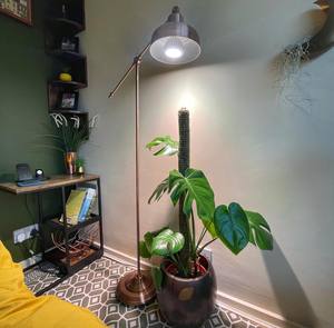 Ampoule LED PAR20 12W à spectre complet 900-1000LM E26/E27, projecteur vert d'intérieur pour la croissance des fleurs, des légumes et des semis - Product Image 5