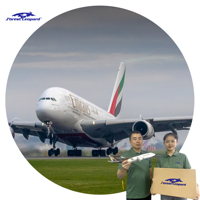 Transporteur d'expédition AirCargo de Ningbo aux EAU Dubaï DDP ONT8