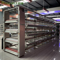 Système de cage à Super couches, meilleur accessoire automatique de ferme de volaille pour poulet