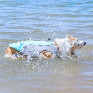 Chaleco de malla para mascotas, estilo fino y transpirable para verano, ropa para perros grandes como Shiba Inu y Border <span class=keywords><strong>Collie</strong></span> - Product Image 3