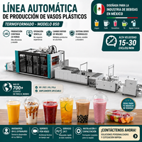 Ligne de production de gobelets en plastique très demandée pour le Mexique – Machine de thermoformage PP PET PLA pour gobelets à jus, café et smoothies