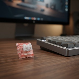 Interrupteur silencieux TTC Rabbit style <span class=keywords><strong>Lego</strong></span>, interrupteur de clavier à échange à chaud, version silencieuse RGB, interrupteur de clavier Rabbit, interrupteur Zodiac 42gf - Product Image 6