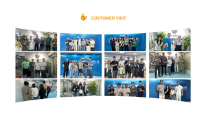 त्वचा के कोट पूरक के साथ प्रोबायोटिक और प्रीबायोटिक कद्दू के साथ कुत्तों की त्वचा के कोट पूरक - Product Image 5