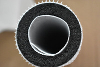 Filtre à charbon actif Ocpuritech 10''x2.5'' 100L/heure Purification de l'eau Pré-filtration de l'eau domestique Système d'osmose inverse 25