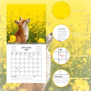Calendario <span class=keywords><strong>da</strong></span> Parete 2027 Personalizzato con Logo, Stampa a Colori, Carta Rigida, Calendario <span class=keywords><strong>da</strong></span> Tavolo Promozionale per Ufficio, Produzione OEM - Product Image 2