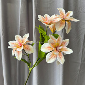 B-399 Vente en gros Nouveau style populaire <span class=keywords><strong>Magnolia</strong></span> à tige longue de 70 cm 5 têtes <span class=keywords><strong>Magnolia</strong></span> Toucher réel Orchidée artificielle en latex <span class=keywords><strong>Magnolia</strong></span> - Product Image 6