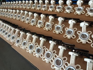 Custom High Quality Ductile Iron Clamp Type Turbine PTFE butterfly Valve - Product Image 4
