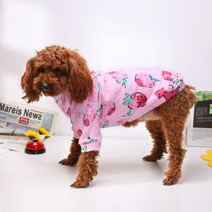 Nova Roupa Fofa para Pet com Estampa de Desenho Animado Suéter Quente de Duas Pernas para Outono e Inverno Roupas para Cães e Gatos Roupas para Bulldog Francês - Product Image 5