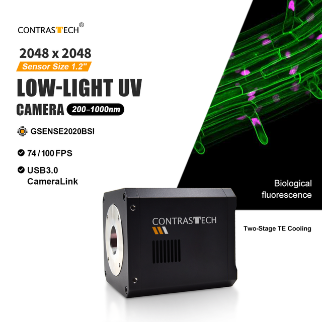 Low Noise 200 to 400nm 4MP 100fps GSENSE2020BSI UV-Sensitive Industrial Camera for Biological Microscopy and Forensics