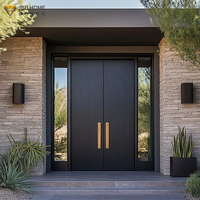 Porte d'entrée de sécurité en acier anti-effraction moderne et robuste pour les bâtiments résidentiels, les appartements, les villas et les bâtiments commerciaux