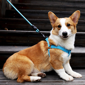 Fashion Design Luxury No Pull Soft Pet <strong>Harness</strong> Y Shape <strong>Cat</strong> Pet Dog <strong>Harness</strong> Breathable Pet <strong>Harness</strong> - Product Image 1