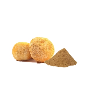 Extracto <span class=keywords><strong>de</strong></span> Hongo Melena <span class=keywords><strong>de</strong></span> León (Hericium Erinaceus) en Polvo, Grado Alimenticio, Rico en Polisacáridos - Product Image 2