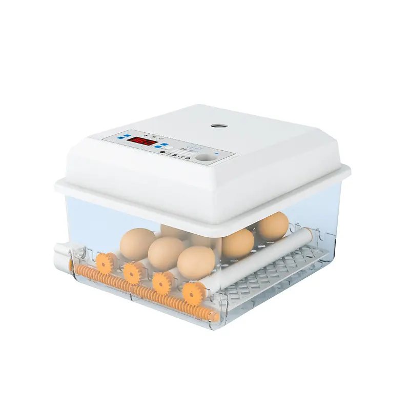 높은 부화율 자동 산업용 닭 계란 인큐베이터 계란 부화기 대용량 가금류 계란 인큐베이터