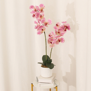 JWS3687 Nuevo Diseño Orquídea Artificial Flor Planta Orquídea Artificial Interior Sala de Estar Decoración Plantas en Maceta - Product Image 5