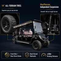 Carrito de Golf a Gas de Color Personalizado, 8 Pasajeros, Estructura de Acero, Carrocería de ABS, Carrito Utilitario con Freno de Disco Delantero y Llantas de 14 Pulgadas