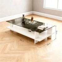Table basse compacte pour le thé et le café, design nordique moderne, verre trempé transparent, rangement durable, meubles de salon pour la maison