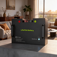 Batterie LiFePO4 BP-24150 avec bornes anti-inversion de polarité, avertissement de sécurité standard, doubles poignées portables, boîtier métallique