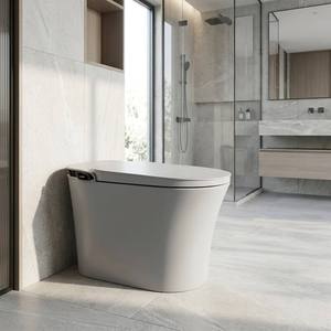 WC allongé gris avec siège entièrement réglable, pulvérisation d'eau personnalisable pour lavage féminin postérieur, certifié US CUPC ETL WaterMark - Product Image 2
