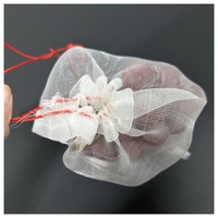 100% Nieuwe PE Beschermende Mesh Zakjes 20x30cm Niet-toxisch Duurzaam Anti-Insecten Net voor Fruit Guave & Mango