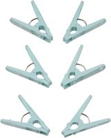 Petites pinces à linge en plastique PP, lot de 30, avec crochets en acier inoxydable, clips de séchage coupe-vent, pour armoire, salon, cuisine, extérieur