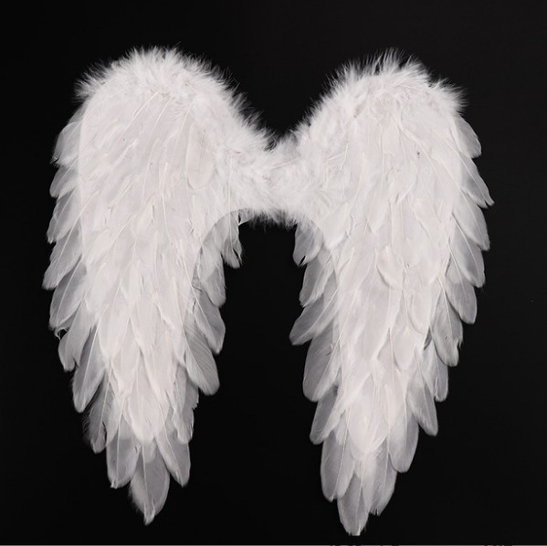 Ali bianche rivolte verso il basso-45*45