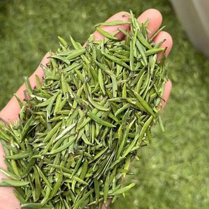 Té Verde Mingqian de Sichuan de Alta Calidad de Nueva Cosecha, Zhu Ye Qing, Té Suelto de Hojas de Bambú, Verde Pájaro - Product Image 4