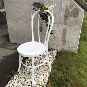 Blanco Thonet Bentwood Banquete <span class=keywords><strong>Césped</strong></span> Boda Sillas y Mesa para Recepción de Bodas - Product Image 4