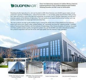 Fertilizante líquido multimicronutriente de acción rápida Ca, Mg, B, Fe, Zn Fertilizante líquido de fórmula personalizada Oem agrícola - Product Image 5