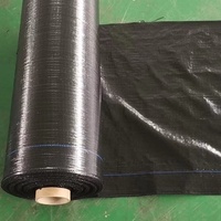 Toile anti-herbe robuste en PP tissé pour terres agricoles et serres