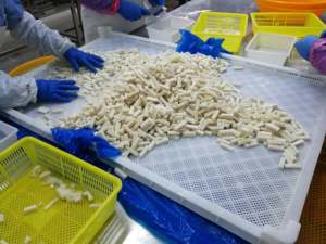 Bandes de <span class=keywords><strong>calmar</strong></span> congelé péruvien géant personnalisé de haute qualité Calamars frais conservés au sel Viande <span class=keywords><strong>calmar</strong></span> style naturel - Product Image 2