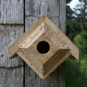 Casa de diamantes Titmouse - Product Image 1